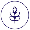 Gluten Free icon