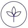 Vegetarian icon