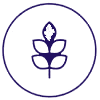 Gluten Free icon
